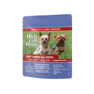 Container of CBD and CBG soft chews for dogs