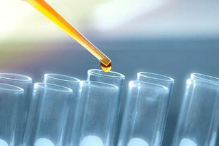 CBD and Hemp: Uncovering the Truth - High Falls Hemp NY