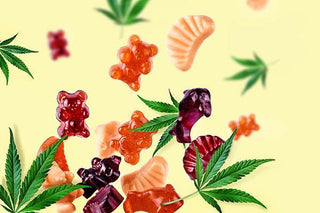 CBD Gummies: Is This How CBD Should be Taken? - High Falls Hemp NY