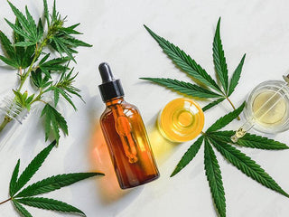 CBD Tinctures and CBD Oils; What’s The Difference? - High Falls Hemp NY