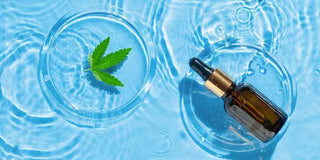 CBD oil bottle next to a water splash background