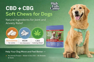 Dog wellness supplement packaging for calm and mobility support