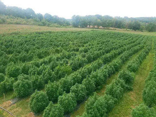Aerial view of green farm fields in the Hudson Valley