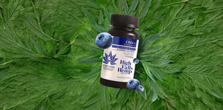 High Falls Hemp sleep support bottle on green leaves with blueberries