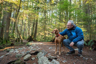 The CBD Tincture Made for your Pet - High Falls Hemp NY