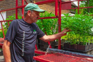 The Genesis of The High Falls Hemp Journey - High Falls Hemp NY