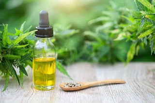 USDA Hemp Rules - High Falls Hemp NY