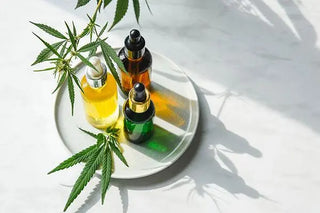 What are the Advantages of CBD Tinctures? - High Falls Hemp NY