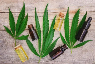What CBD brand and products should your store carry? - High Falls Hemp NY